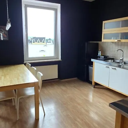 Work & House In Linz *