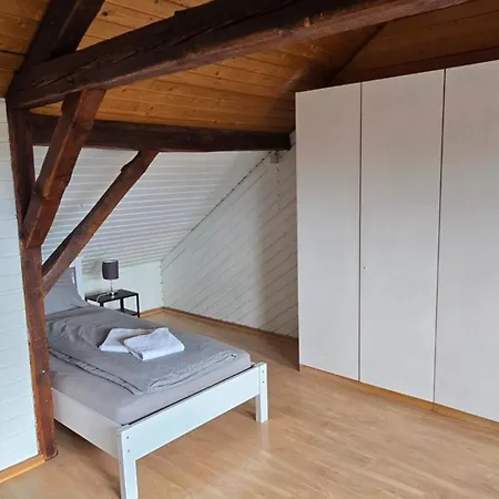 Work & House In Linz لينتس آم راين