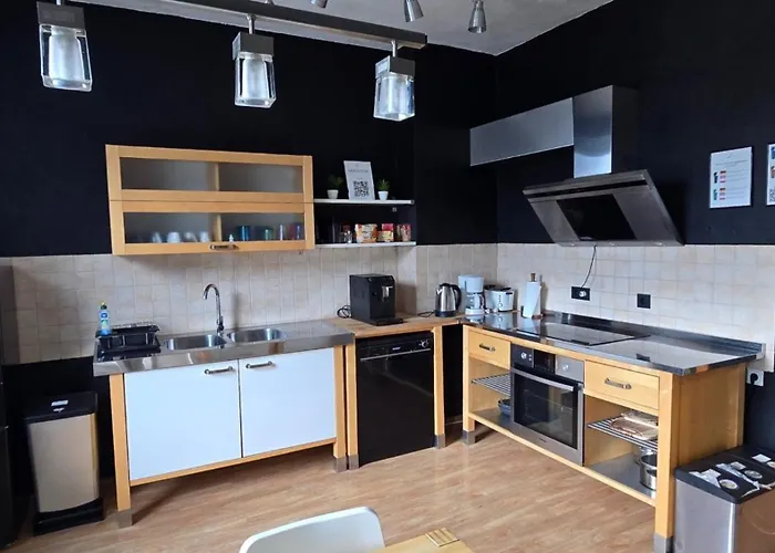 Work & House In Linz דירה לינץ אם ריין