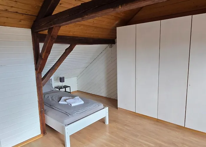 Work & House In Linz לינץ אם ריין